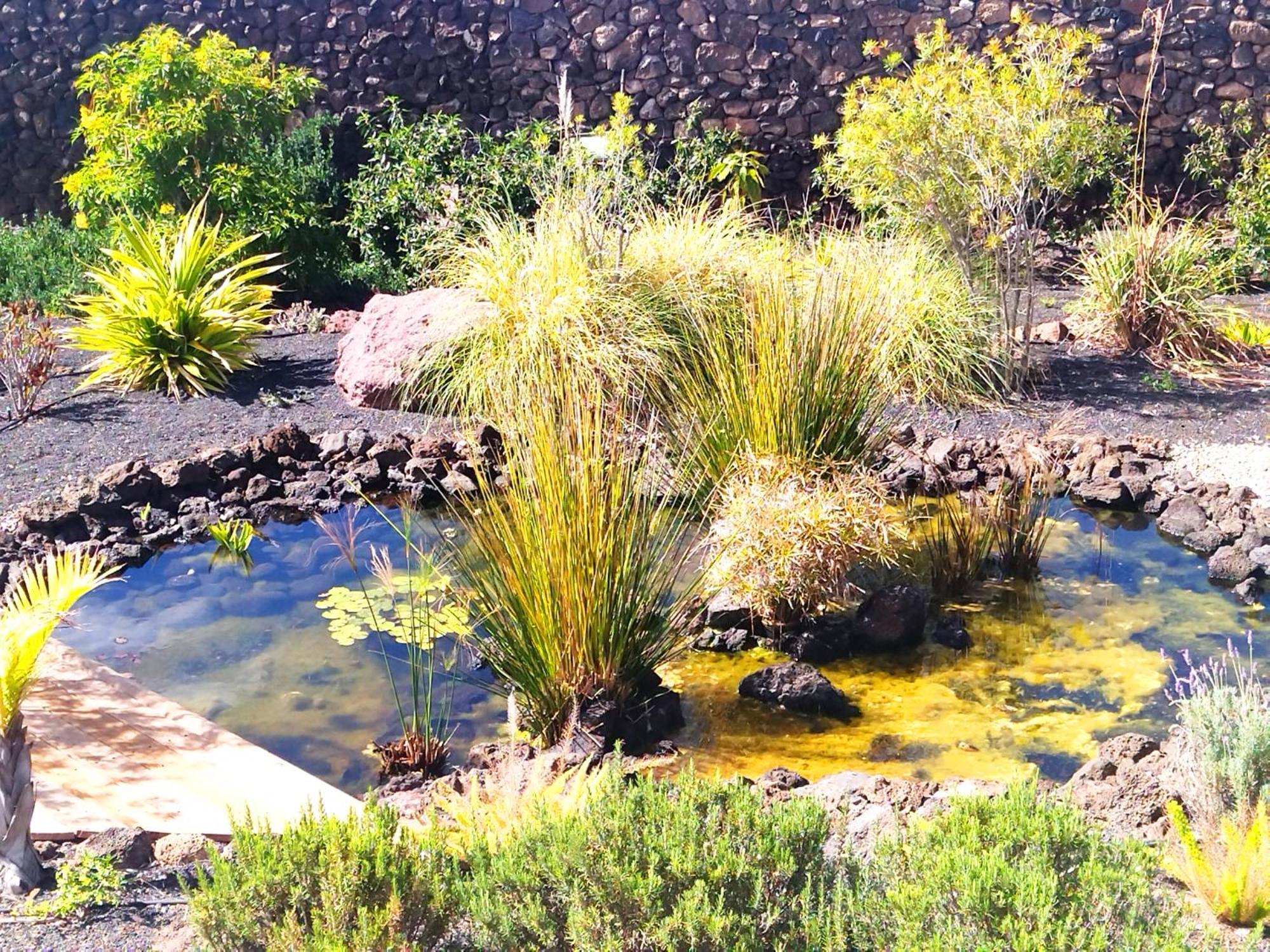 Ocean View Playa Blanca (Lanzarote) Exterior foto